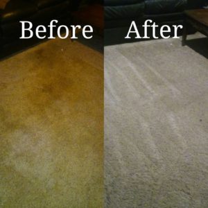 Upholstery Cleaning and Carpet Cleaning Services in Vienna, VA