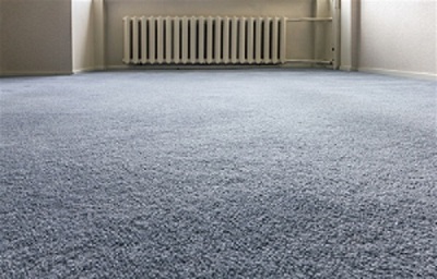 carpet-cleaning-expert