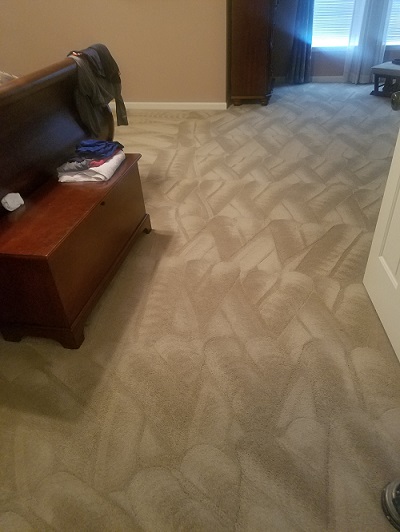 expert-carpet-cleaning